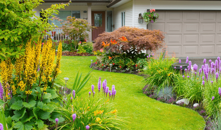 LANDSCAPE DESIGN