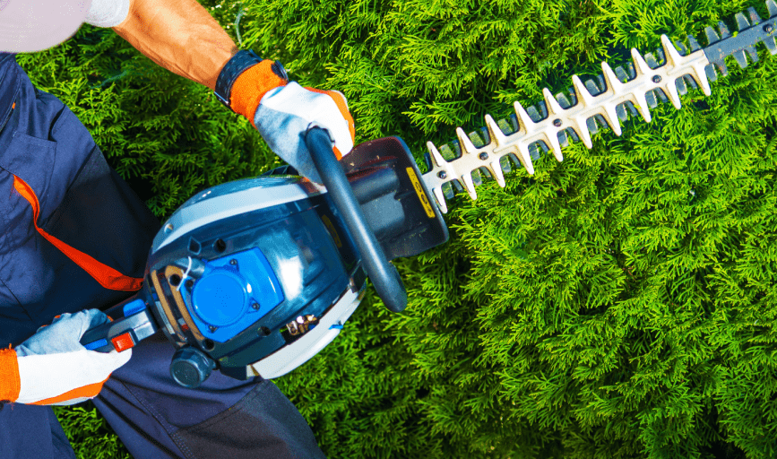 BUSH TRIMMING